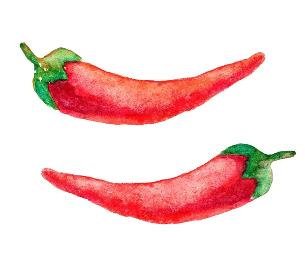 수채화 잘 익은 야채 빨간 뜨거운 칠리 고추 클로즈업 흰색 배경에 고립. 멕시코 매운 을 그리는 손. 건강하고 채식주의 음식 컨셉 — 스톡 사진