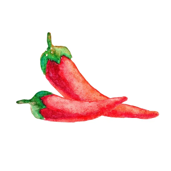 Casal de pimentas vermelhas maduras em estilo aquarela isoladas em fundo branco. Esboço de dois cayenne mexicano picante ardente. Conceito de alimentação saudável — Fotografia de Stock