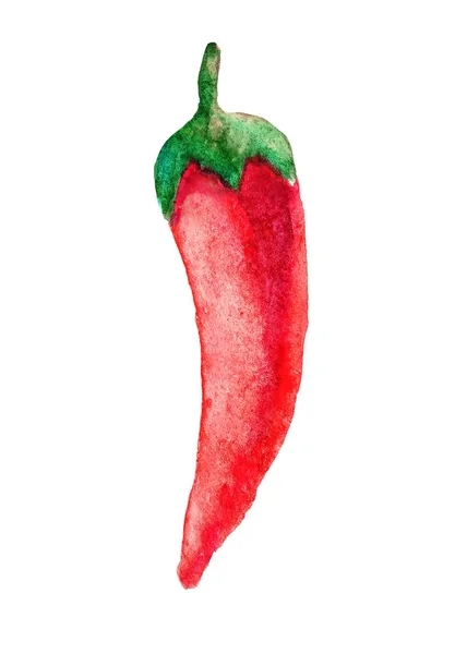 Acuarela madura vegetal rojo chile picante primer plano aislado sobre un fondo blanco. Dibujo manual — Foto de Stock