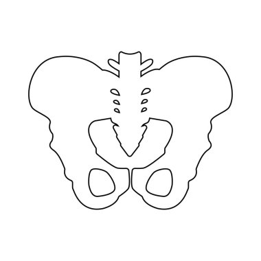 Pelvis simgesi anahat elemanın silueti. Web mobil uygulama logo tasarımı için temiz arka plan üzerinde izole kalça kemikleri simge çizgi vektör illüstrasyon. Beyaz arka planda yalıtılmış. 