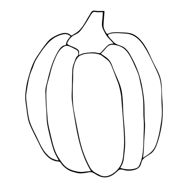 Pumpkin outline vector illustration. Autumn halloween gourd — Stock Vector