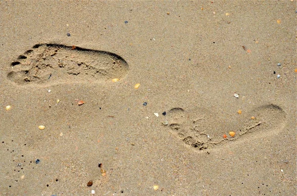   iki deniz kıyısı.