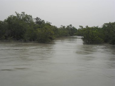 su yan doğal görünümünü