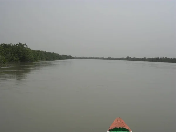 Sonsuz Bengal Körfezi Nehirde Yüzen — Stok fotoğraf