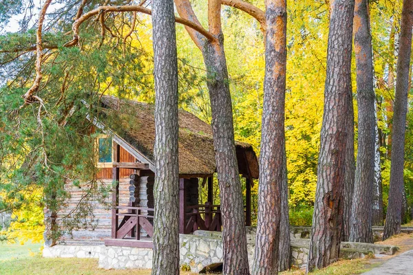 Forêt et petite maison — Photo