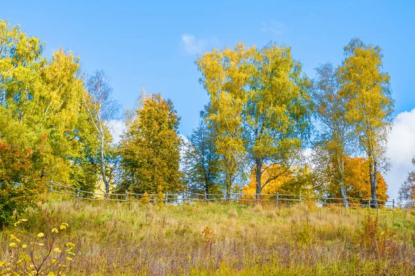 Belle forêt d'automne — Photo