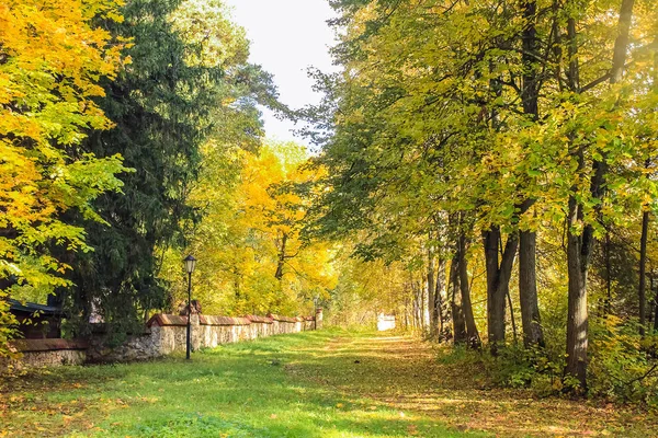 Paysage d'automne avec sentier et clôture — Photo