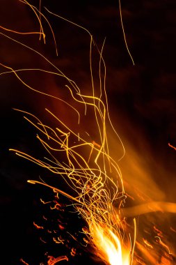 Şenlik ateşi dallarda