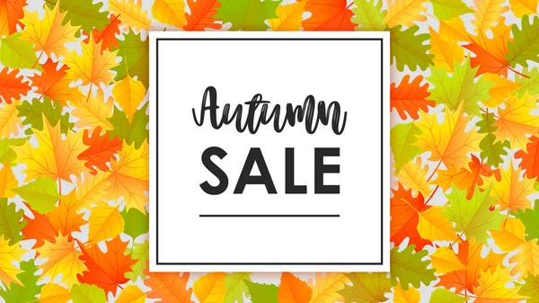 Herbst Verkauf Banner Design mit gelben Blättern — Stockvektor