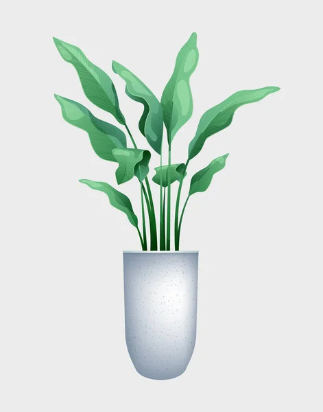 Fleur verte avec de grandes feuilles dans un pot — Image vectorielle