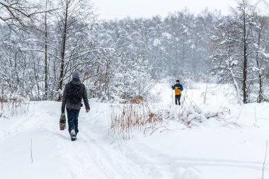 Kış ormanlarında yürü