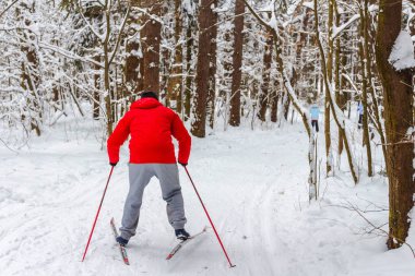 Kayak Kış ormandaki yürüyüşte adam
