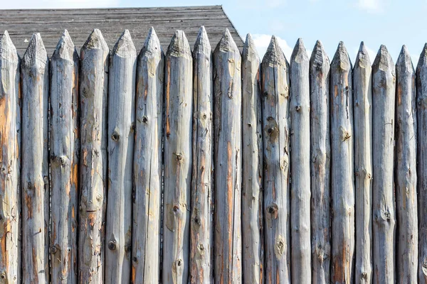 Hek van stammen van bomen — Stockfoto