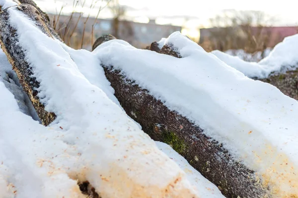 Дрова на снегу, покрытые снегом — стоковое фото