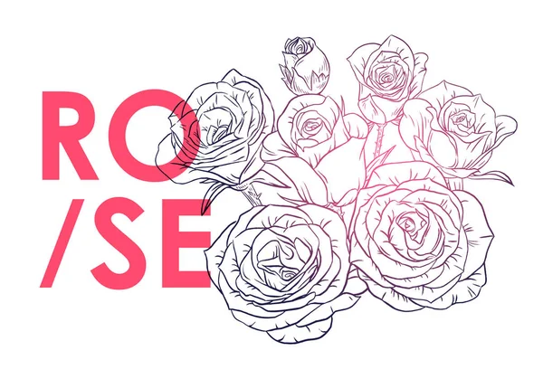 Rosa blanca y negra con una inscripción Rose — Vector de stock