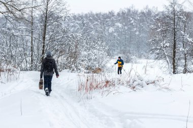 Kış ormanda yürümek