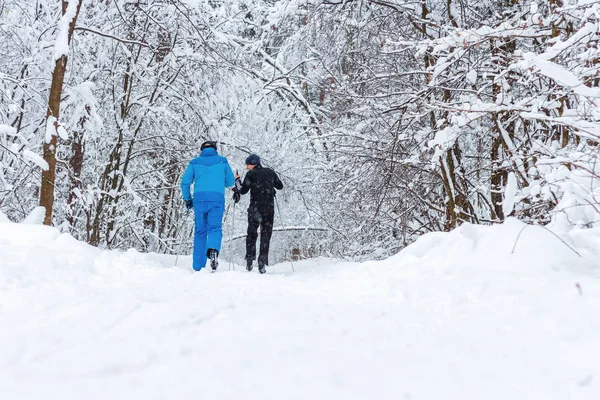 Spaziergang im Winterwald — Stockfoto