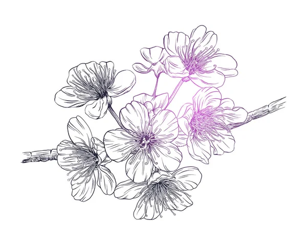 Весна квітучі квіти — стоковий вектор