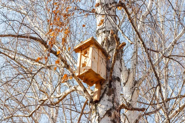 Ящик для гнезда на дереве — стоковое фото