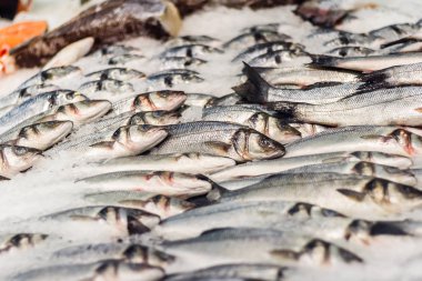 buz üzerinde çiğ balık