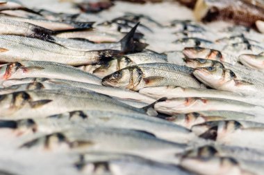 buz üzerinde çiğ balık