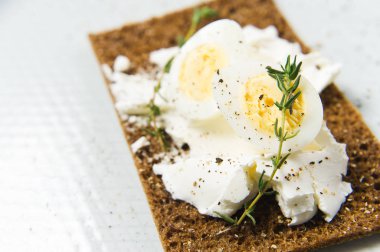 Tost bıldırcın yumurtası. Malzemeler domates, yumurta, peynir, çavdar ekmeği. Beyaz arka plan, yan görünüm, yakın çekim