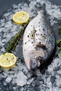 Dorado balık bir siyah Doğrama tahtası, madde biberiye, limon, ham buz. Koyu arka plan, yan görünüm