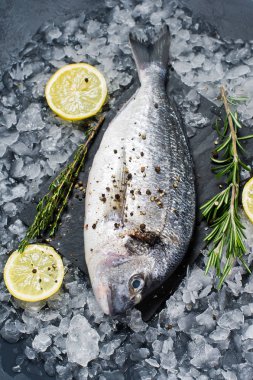 Dorado balık bir siyah Doğrama tahtası, madde biberiye, limon, ham buz. Koyu arka plan, yan görünüm