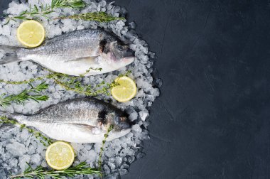 Çiğ Dorado balık buz, madde, biberiye, limon. Koyu arka plan, üstten görünüm, metin için yer
