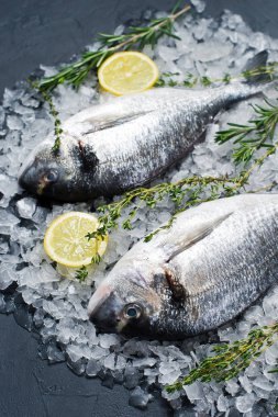 Çiğ Dorado balık buz, madde, biberiye, limon. Koyu arka plan, yan görünüm