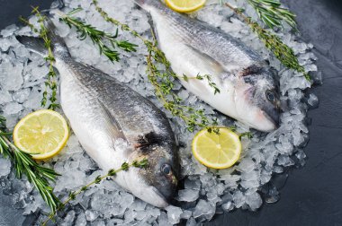 Çiğ Dorado balık buz, madde, biberiye, limon. Koyu arka plan, yan görünüm