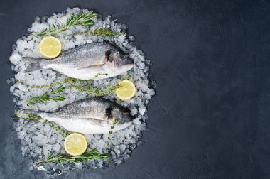 Çiğ Dorado balık buz, madde, biberiye, limon. Koyu arka plan, üstten görünüm, metin için yer