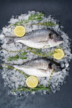 Çiğ Dorado balık buz, madde, biberiye, limon. Koyu arka plan, üstten görünüm