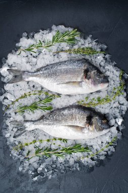 Dorado çiğ balık buz üzerinde madde rosemary. Koyu arka plan, üstten görünüm