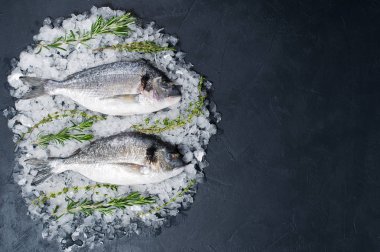 Dorado çiğ balık buz üzerinde madde rosemary. Koyu arka plan, üstten görünüm, metin için yer