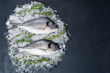 Dorado çiğ balık buz üzerinde madde rosemary. Koyu arka plan, üstten görünüm, metin için yer