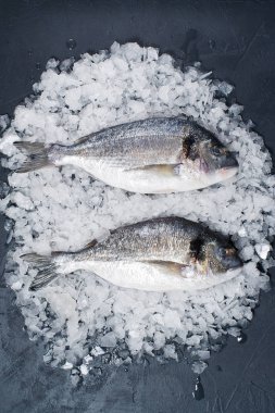 Buz üzerinde çiğ Dorado balık. Koyu arka plan, üstten görünüm