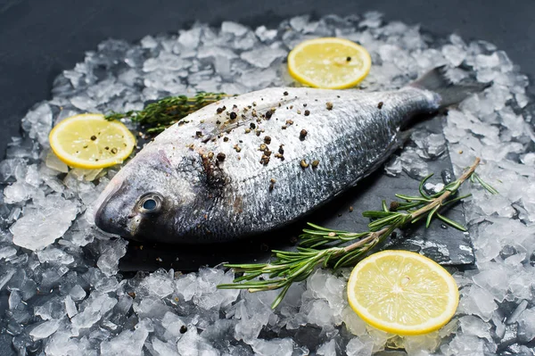 Dorado fish raw on a black chopping Board, ingredient rosemary, lemon, ice. Dark background, side view