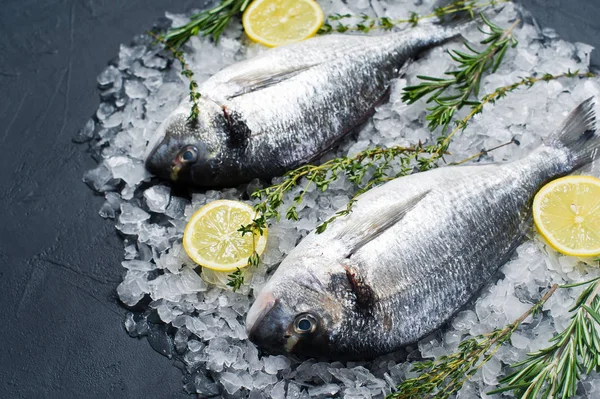 Çiğ Dorado balık buz, madde, biberiye, limon. Koyu arka plan, yan görünüm