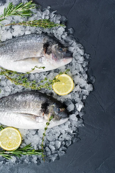 Çiğ Dorado balık buz, madde, biberiye, limon. Koyu arka plan, üstten görünüm