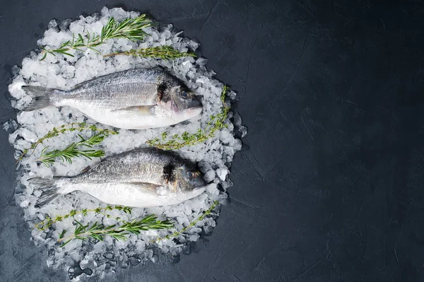 Dorado çiğ balık buz üzerinde madde rosemary. Koyu arka plan, üstten görünüm, metin için yer