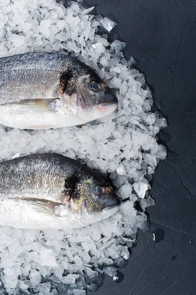 Buz üzerinde çiğ Dorado balık. Koyu arka plan, üstten görünüm