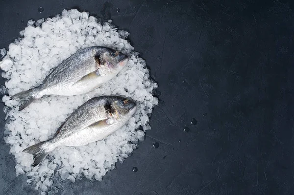 Poisson Cru Dorado Sur Glace Fond Sombre Vue Dessus Espace — Photo