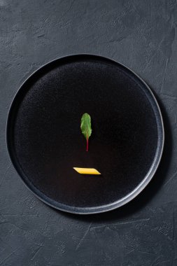 Chard ile Penne makarna kavramı minimalizm. Koyu arka plan, üstten görünüm, metin için yer