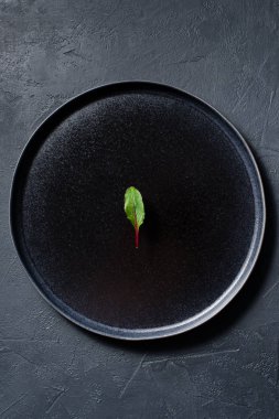 Mangold bir siyah plaka, minimalizm, kavram. Koyu arka plan, üstten görünüm, metin için yer