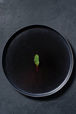 Pazı bir siyah plaka, minimalizm, kavram. Koyu arka plan, üstten görünüm, metin için yer