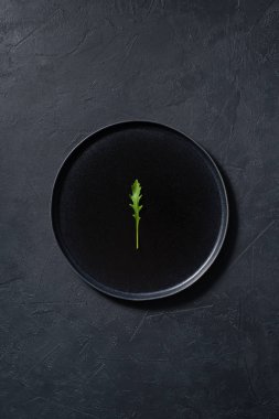 Roka bir siyah plaka, minimalizm, kavram. Koyu arka plan, üstten görünüm, metin için yer