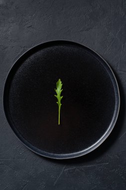 Roka bir siyah plaka, minimalizm, kavram. Koyu arka plan, üstten görünüm, metin için yer