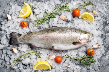 Buz üzerinde ham alabalık. Malzemeler biberiye, limon, domates, sarımsak. Gri arka plan, üstten görünüm, metin için yer