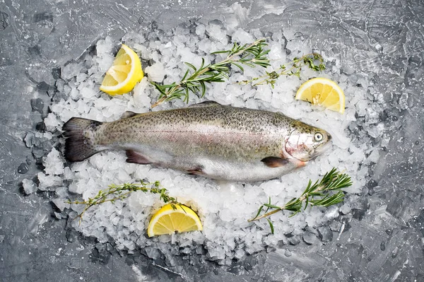 Rohe Forellen Auf Eis Zutaten Rosmarin Zitrone Grauer Hintergrund Draufsicht — Stockfoto